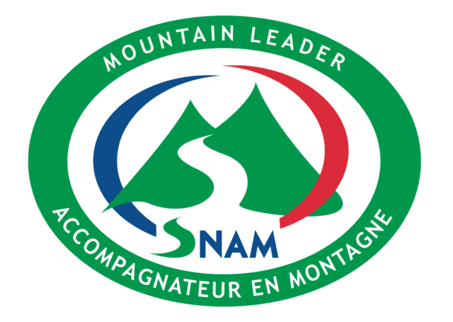 Snam logo