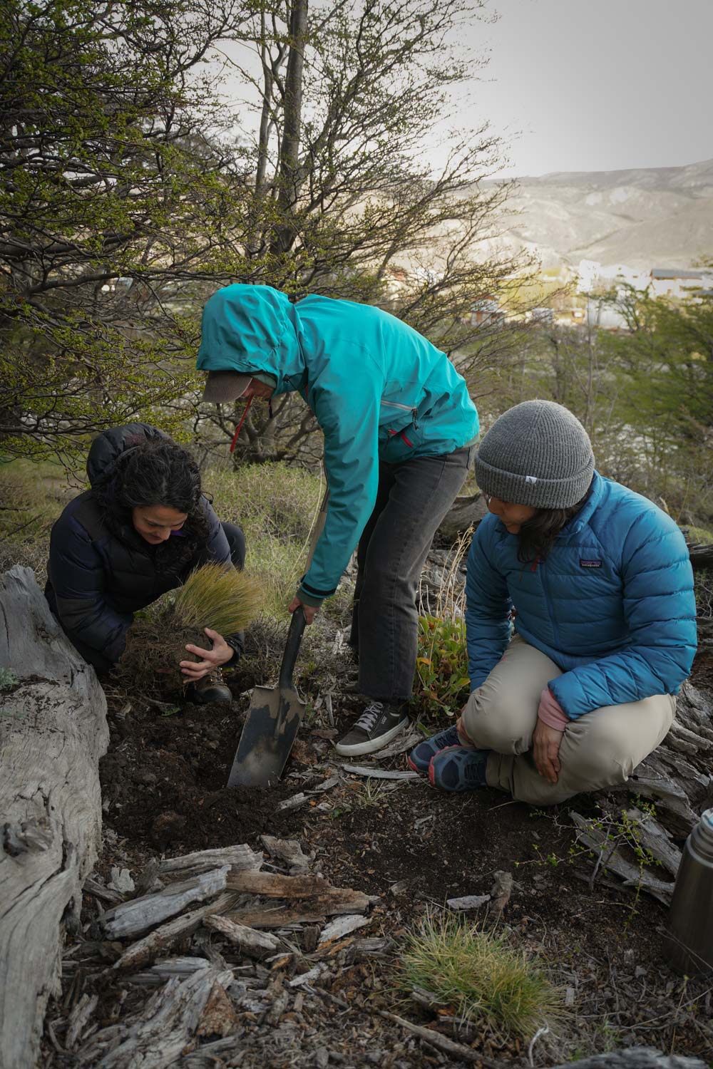 Volunteer team carrying out plant rescue tasks