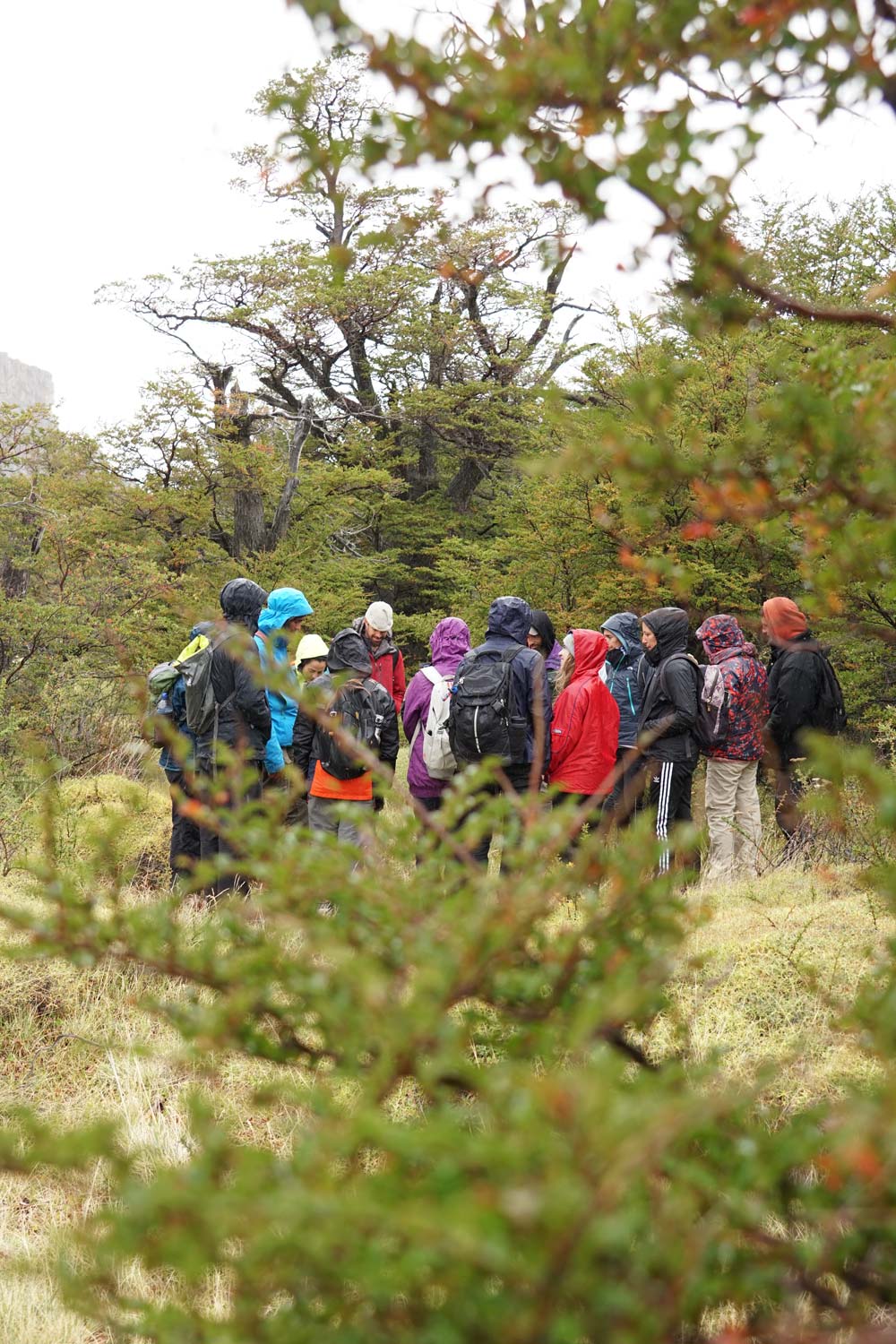 A group of people identifying native flora