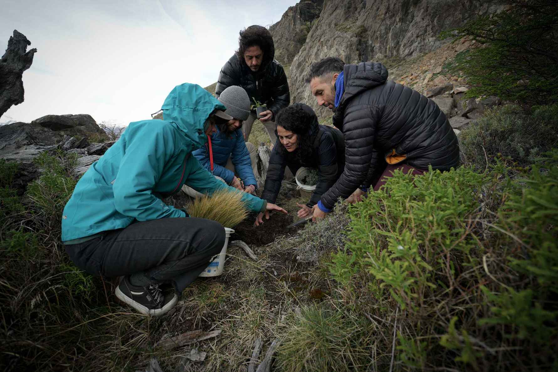 Restoration work in the surroundings of El Chaltén