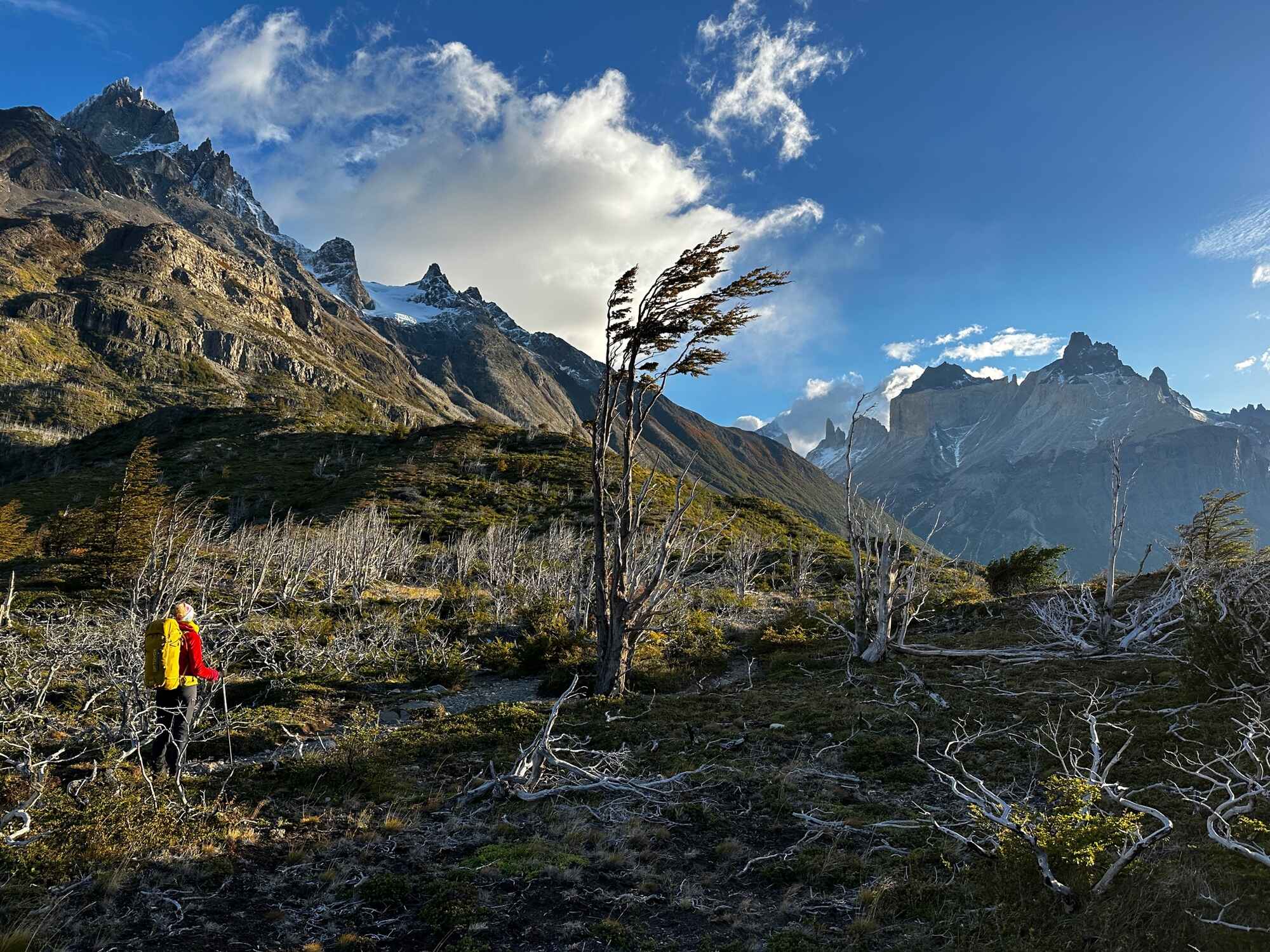 A photo of the Paine Horns Massif in the Torres del Paine National Park