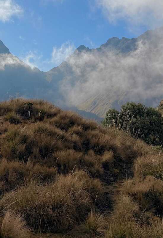 Peru Trip Report 2025