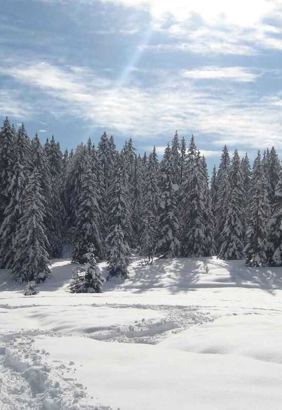 Snowshoeing in the Mountains