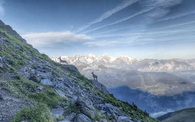 Tour du Mont Blanc | Guided & Self Guided Hiking Holidays