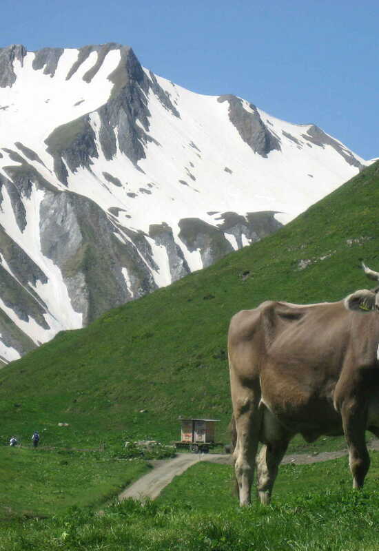 Tour du Mont Blanc trail conditions 13 June 2022