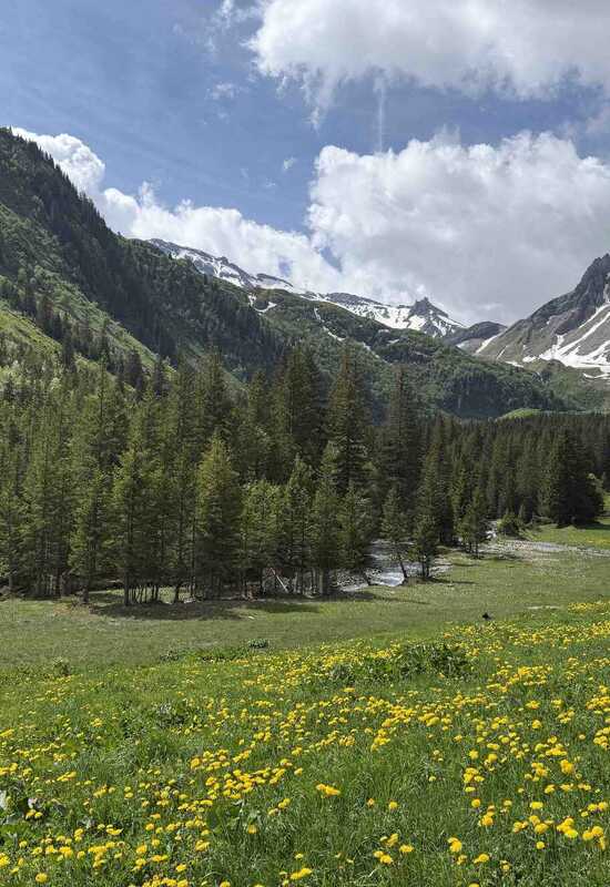TMB Col du Bonhomme Trail Conditions