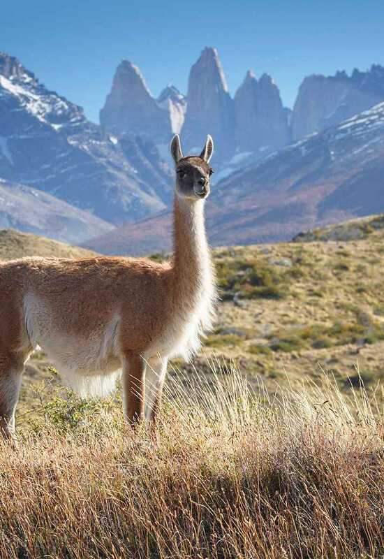 Patagonia O Circuit Trek - FAQS