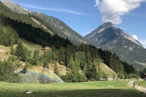 A meadow on the Tour du Mont Blanc