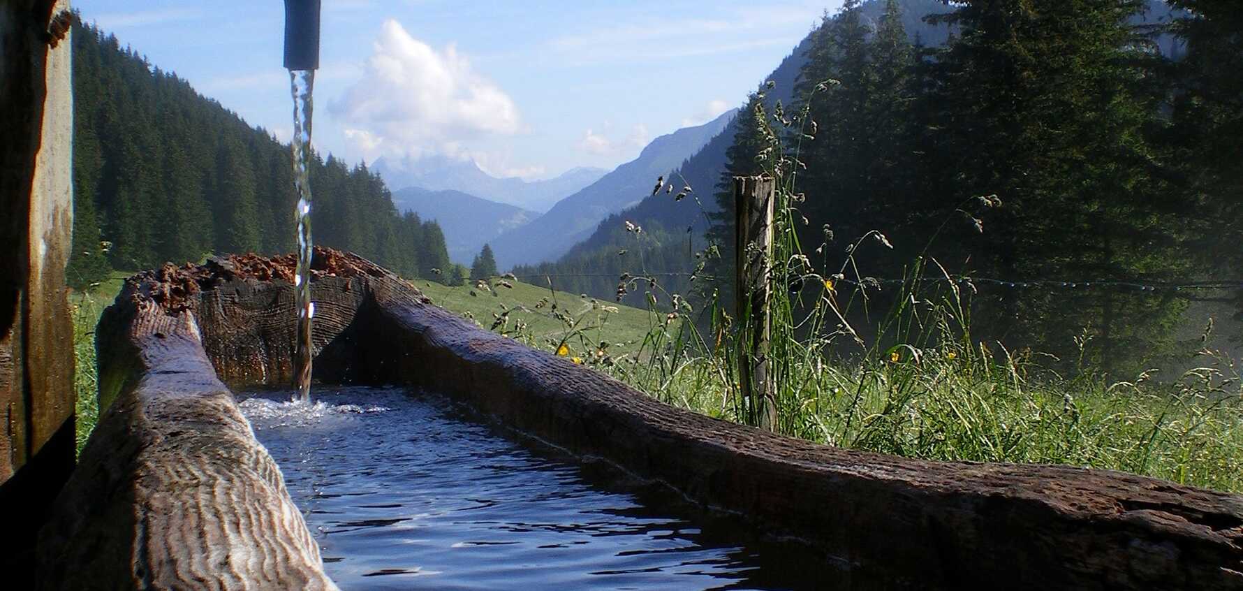Tour du Mont Blanc | Guided & Self Guided Hiking Holidays