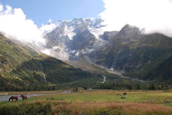 Horses by a river on the Tour du Mont Blanc