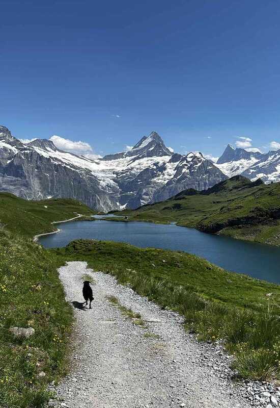 Tour of the Jungfrau Map
