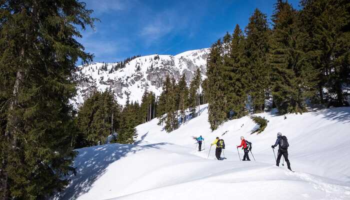 A group snowshoeing in the mountains