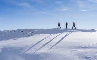 3 people snowshoeing