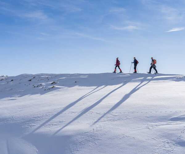 3 people snowshoeing