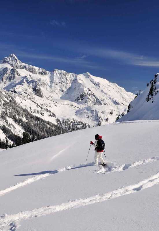 Guided Snowshoe Treks